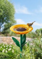 Voederstation voor zonnebloemvogels 