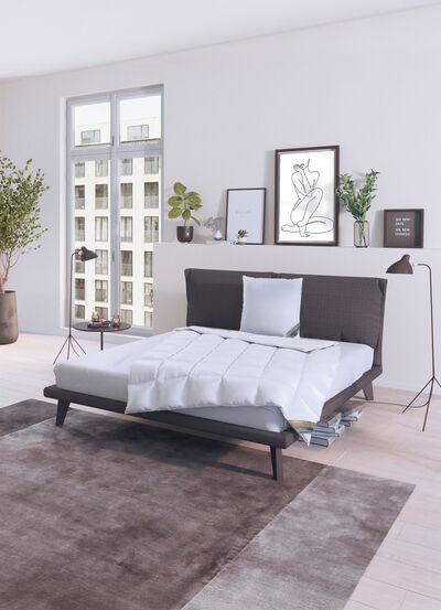 Heerlijk warm donzen dekbed serie Winter Dreams van Spessarttraum 