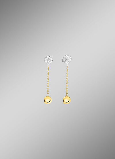 Prachtige oorbellen in twee kleuren 