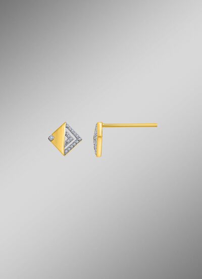 Prachtige oorbellen met diamanten 