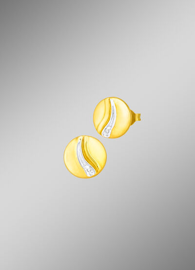 Chique oorbellen in bicolor met 2 diamanten 