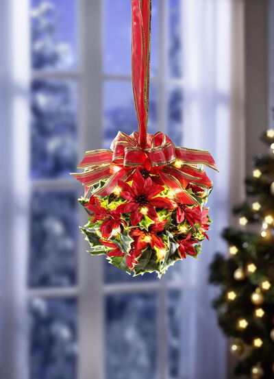 Buitengewone opstelling met 20-vlammige LED-lichtkettingen 