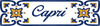 BADERde_DE1Logo_Capri