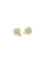 Oorknopjes goud 585/- 