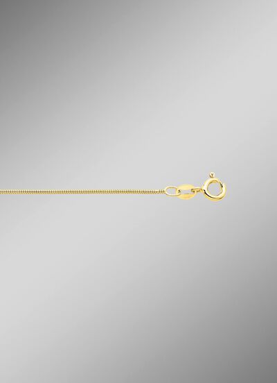 Vergulde zilveren slangenketting 