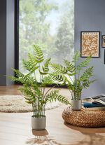 Realistisch ogende bosvaren in een pot 