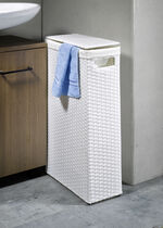 Wasmand WIT