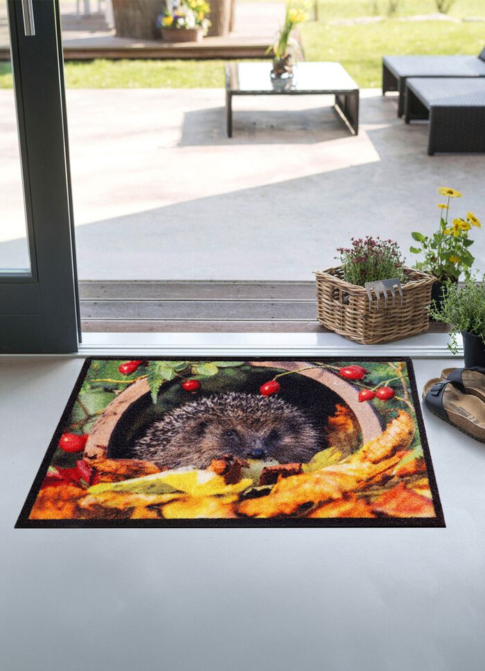 Deurmat met egelmotief MULTICOLOR