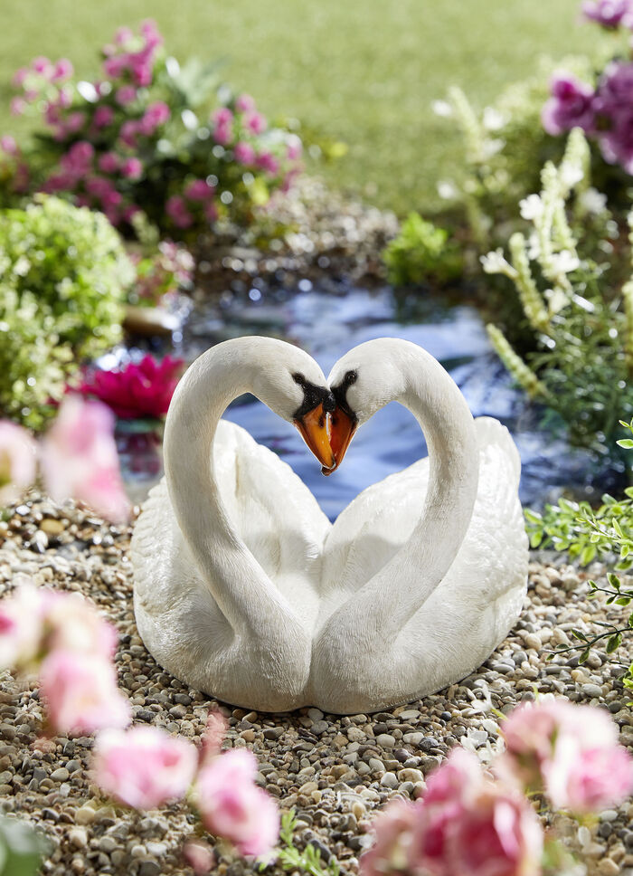 Weer- en vorstbestendige zwanen 