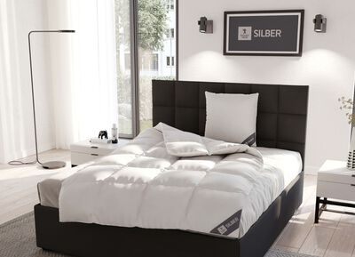 Fantastisch donsassortiment van Spessarttraum, met de grootste zorg vervaardigd in Duitsland 