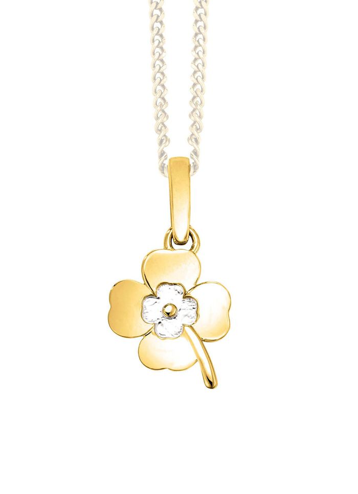 Tweekleurige klavertje-hanger 