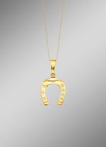 Prachtige hoefijzerhanger 