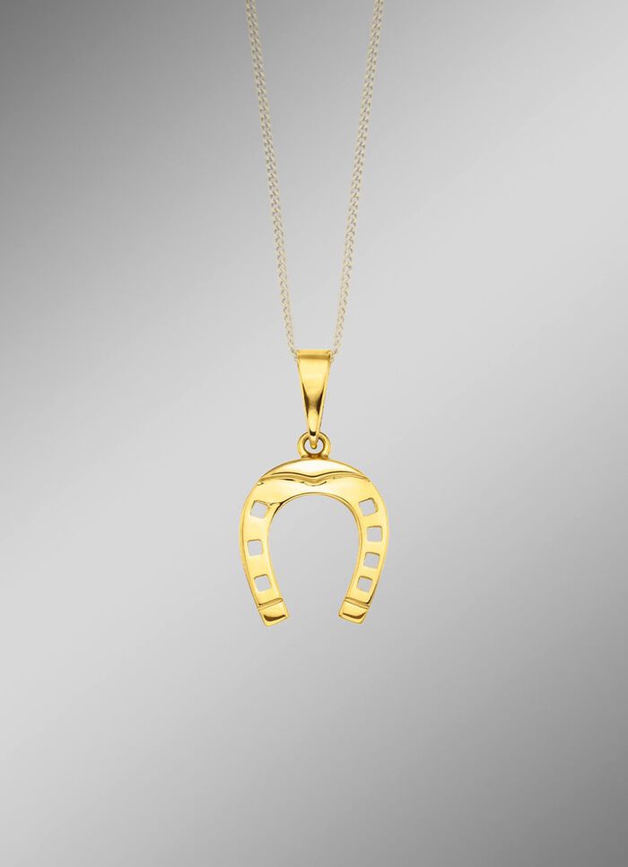 Prachtige hoefijzerhanger 