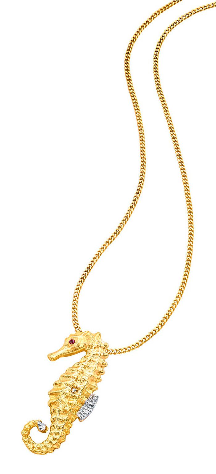 Zeepaardje-kettinghanger 