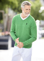 Modieuze trui met V-hals in 6 kleuren GROENE MOEDER