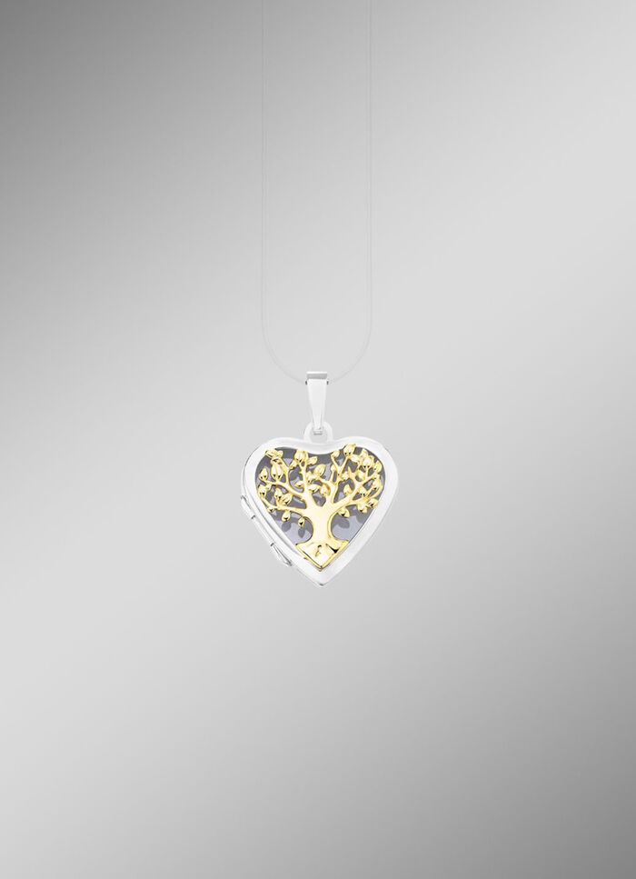 Hartvormig medaillon in tweekleurig om te openen 