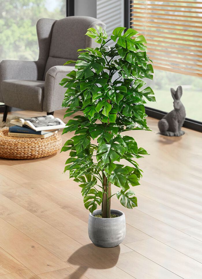 Splitphilo in een pot 