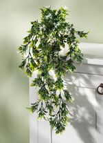 Hangplant met kleine witte bloemen 