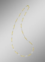 Tweekleurige ketting 