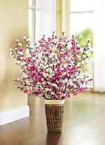 Kersenbloesemtakken, set van 5 