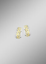 Chique creolen in twee kleuren met zirkonia 