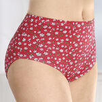 Set van vier slipjes met bloemenprint 