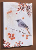 Foto Vogel van het Jaar 2025 Zwarte Roodstaart op canvas KLEURRIJK