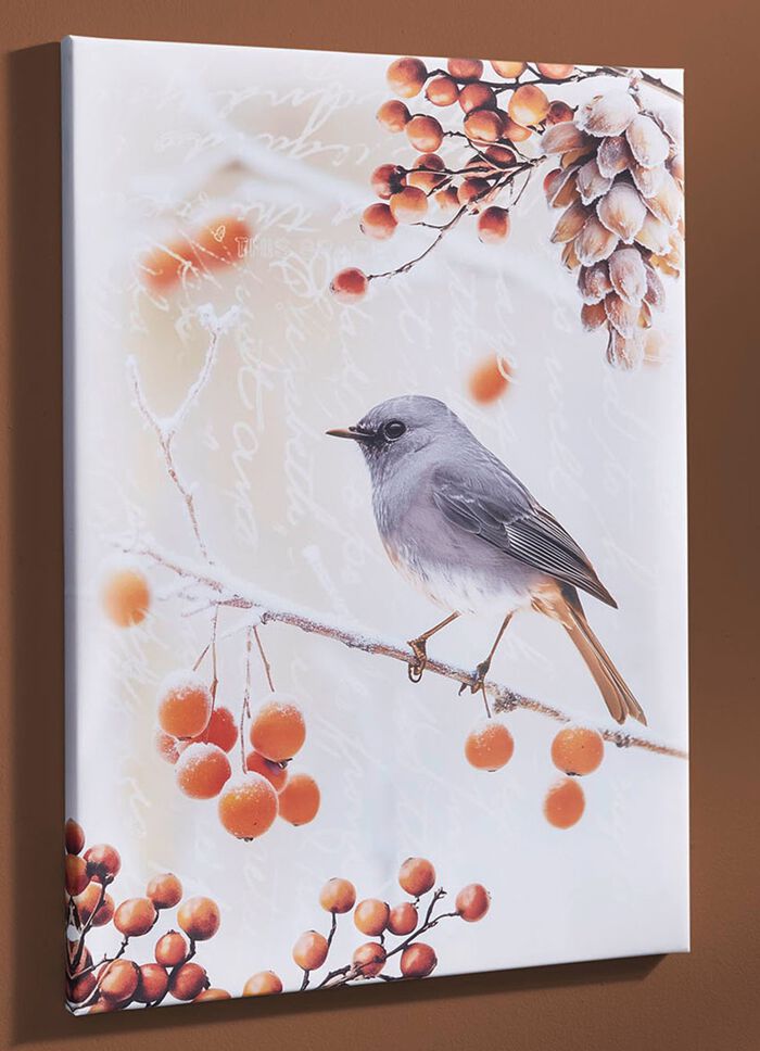 Foto Vogel van het Jaar 2025 Zwarte Roodstaart op canvas KLEURRIJK