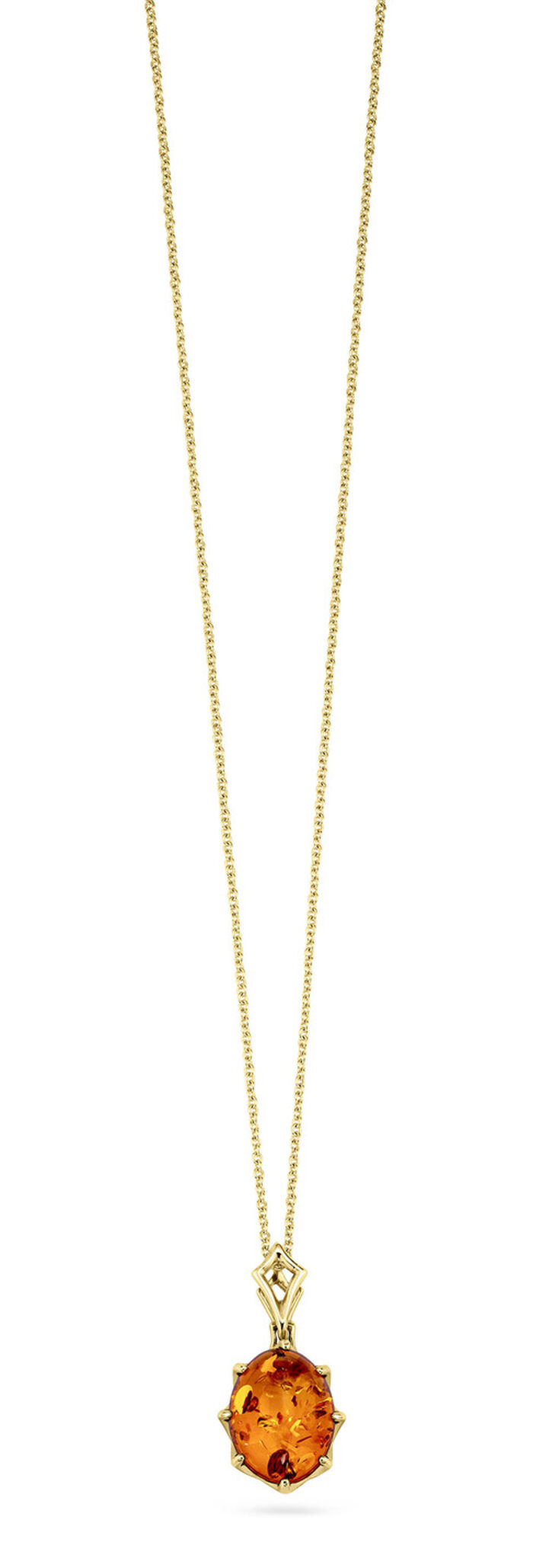Kettinghanger met ketting 