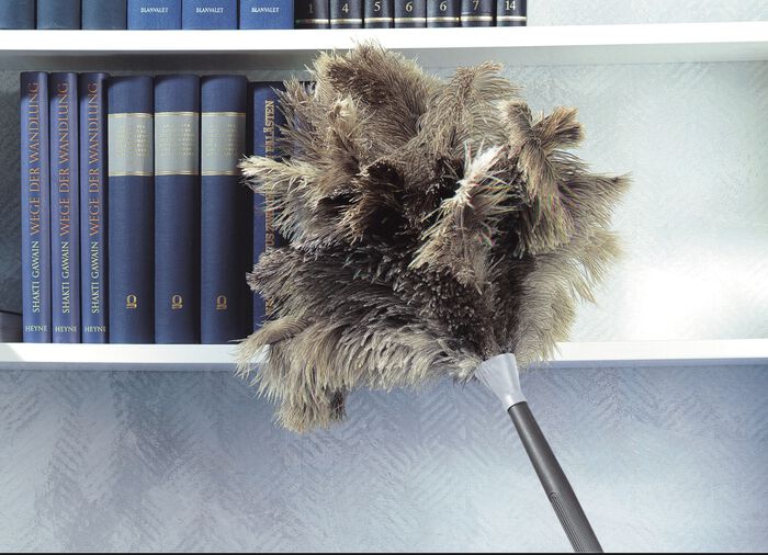 Plumeau van struisvogelveren BRUIN