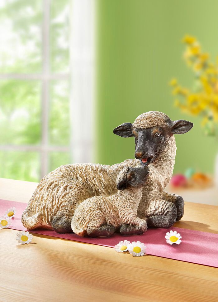 Schapen met lam 