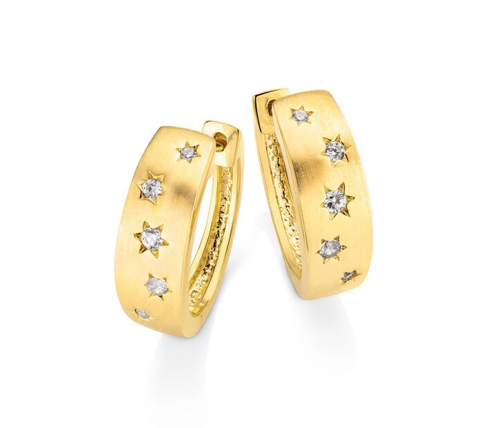 Prachtig paar oorringen 