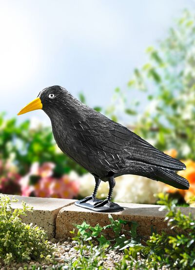 Vogelverschrikker, raaf, van kunststof 