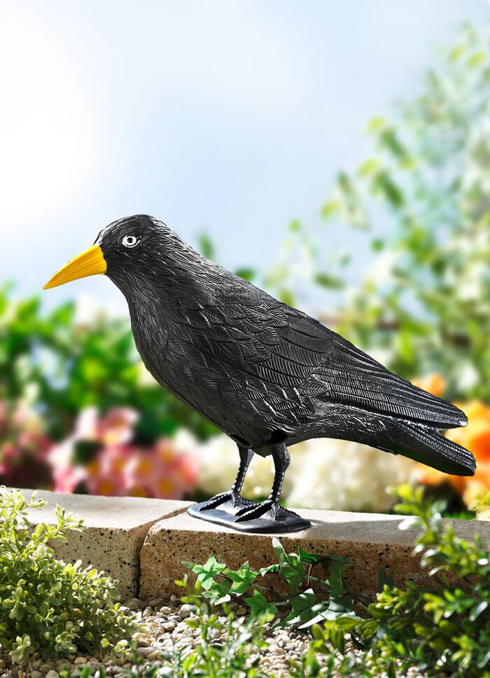 Vogelverschrikker, raaf, van kunststof 