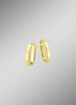 Prachtige creolen van verguld zilver 