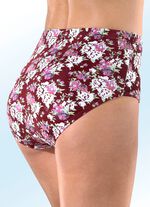 Set van vijf slips met elastische band 