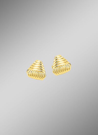 Prachtige oorbellen met groefontwerp 