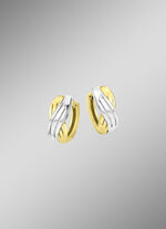 Tweekleurige oorringen 