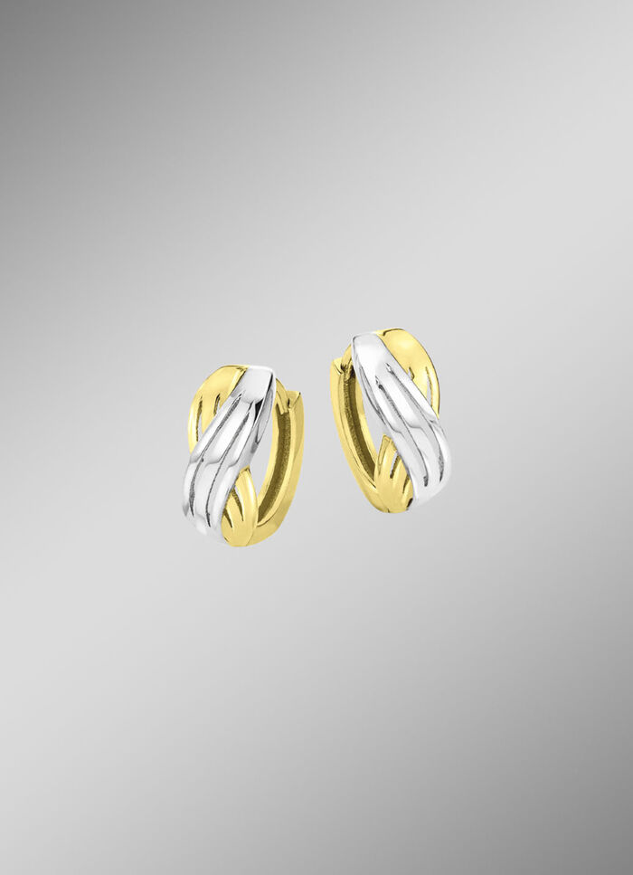Tweekleurige oorringen 