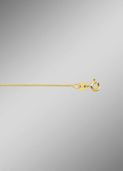 Stijlvolle platte kinketting van goud 