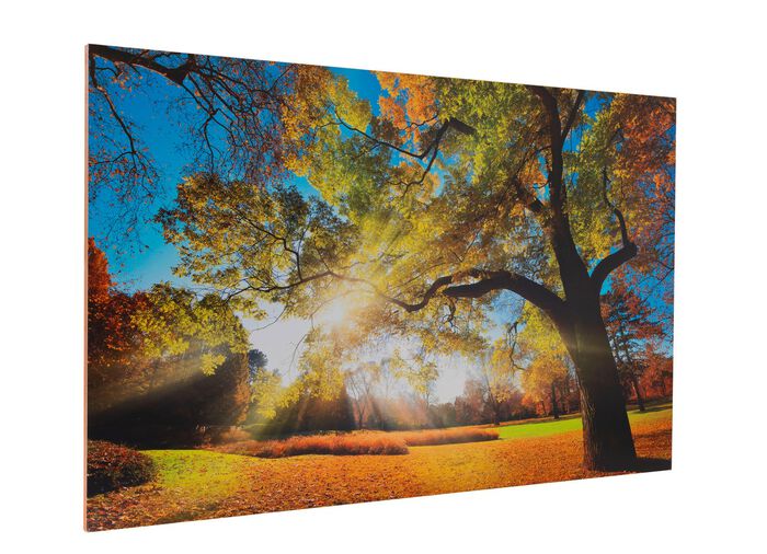 Kunstdrukafbeelding van hoge kwaliteit 