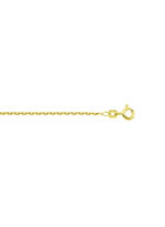 Diamantgeplateerde gouden ankerketting 