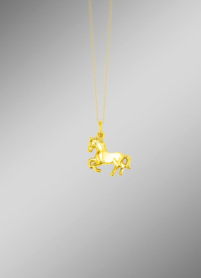 Gouden paardenhanger 