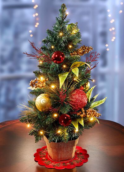 Verlichte dennenboom 