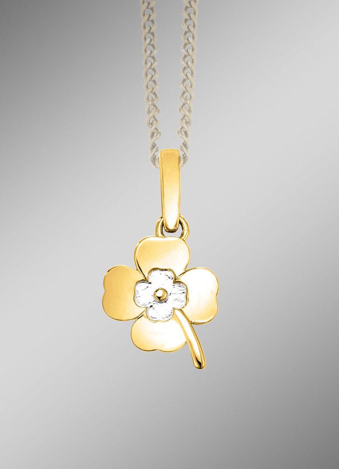 Tweekleurige klavertje-hanger 