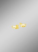 Paardenoorbellen van goud 