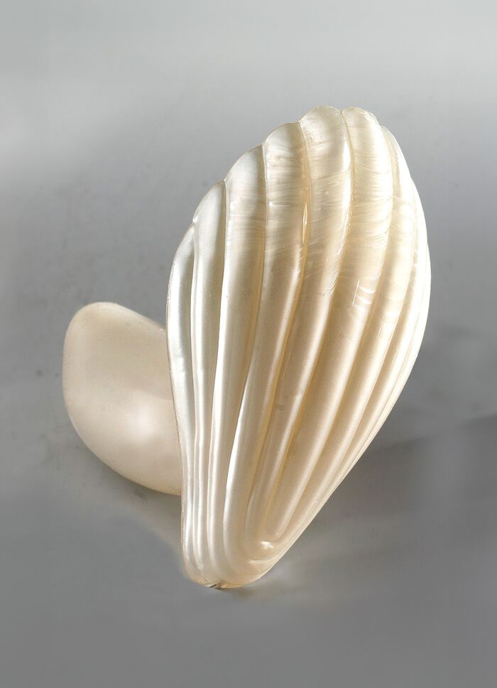 Massageapparaat met liefdesschelp 