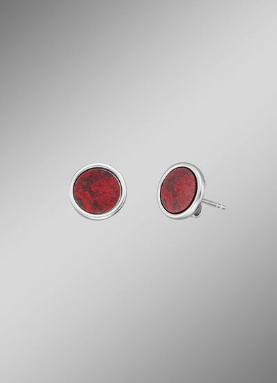 Krachtige stenen oorknopjes met rode jaspis 