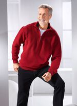 Troyer met opstaande kraag in 2 kleuren 