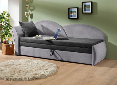 Slaapbank met bedkast en 1 sierkussen 